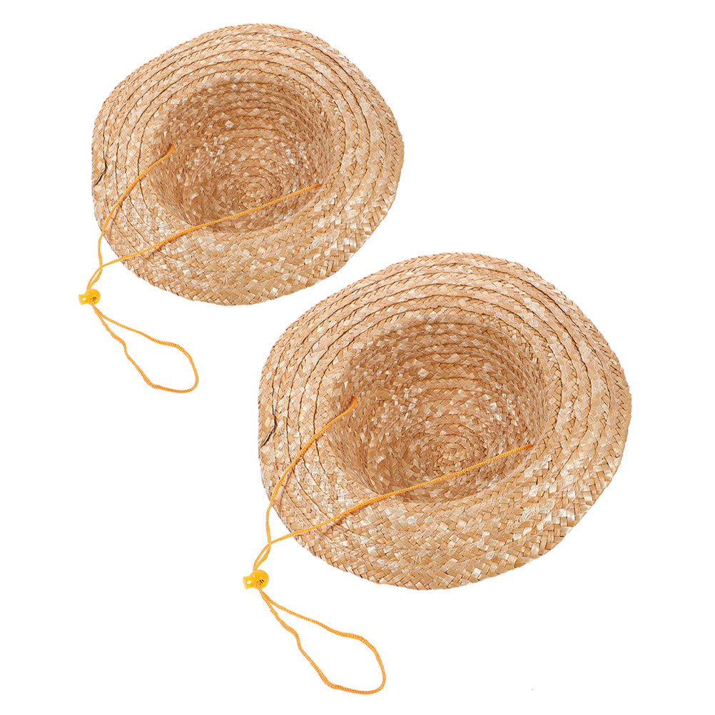 2 stuks kinderzonnehoed met st - Sun Hat Wide Brim recensie en prijs